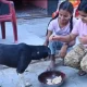 Spreading Love & Compassion